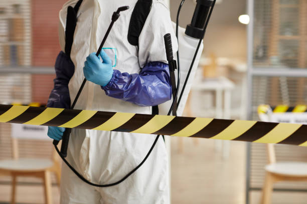 Professional Sewage Cleanup technician working in Newark, NY